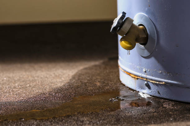 Best Basement water damage restoration  in Hico, TX