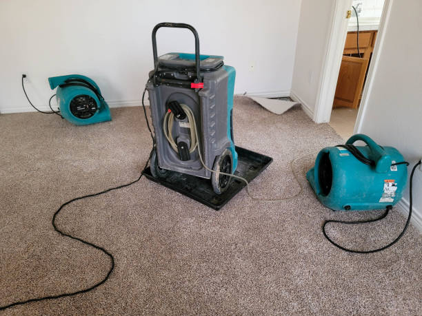 Water damage restoration insurance claims in Hico, TX
