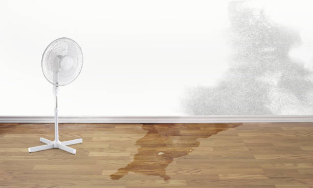  Hico, TX Water damage restoration Pros