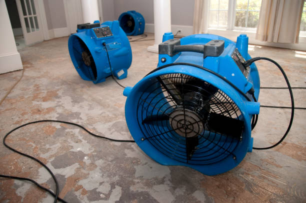 Water damage restoration experts in Hico, TX