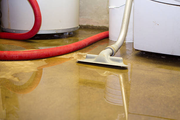 Best 24-hour water damage restoration  in Hico, TX