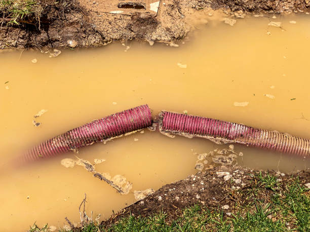 Best Water damage restoration insurance claims  in Hico, TX
