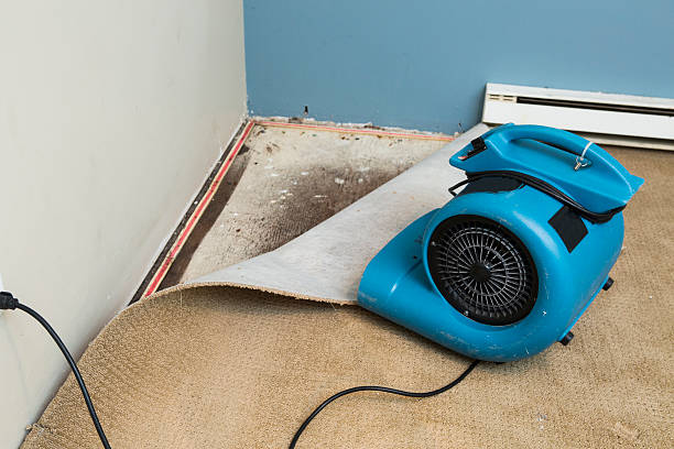 Best Fire Damage Restoration  in Hico, TX